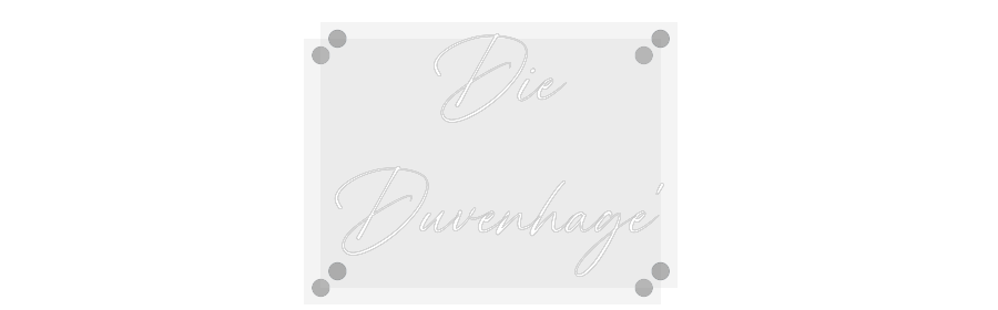 Custom Neon: Die
Duvenhage'