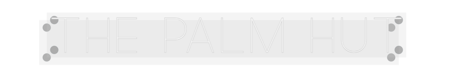 Custom Neon: The Palm Hut