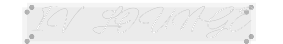 Custom Neon: IV LOUNGE