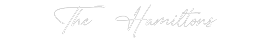 Custom Neon: The Hamiltons
