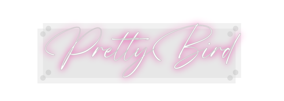 Custom Neon: PrettyBird