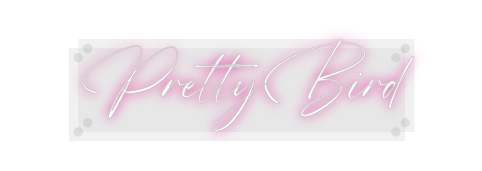 Custom Neon: PrettyBird