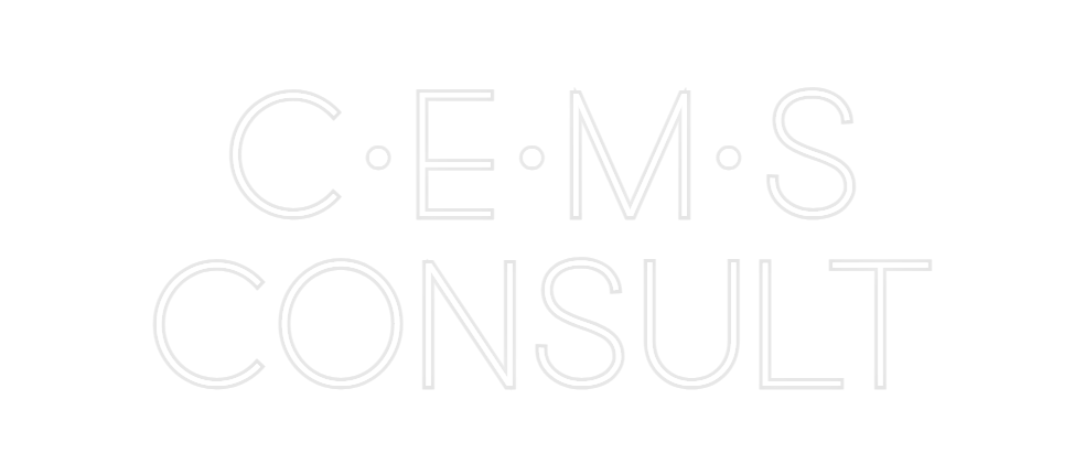 Custom Neon: C·E·M·S
CONS...