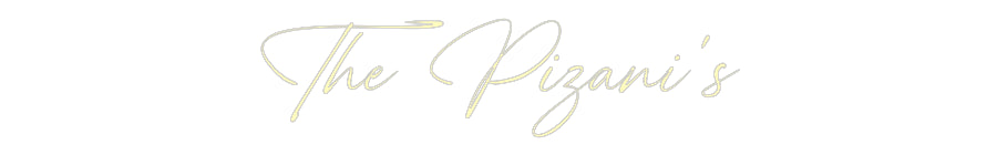 Custom Neon: The Pizani’s