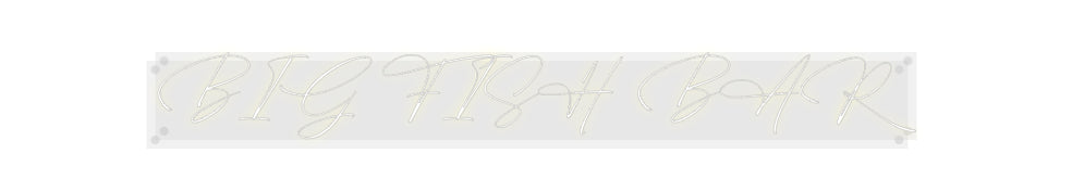 Custom Neon: BIG FISH BAR