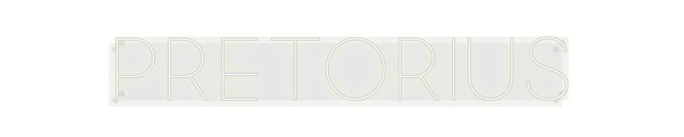 Custom Neon: Pretorius