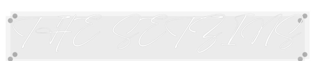 Custom Neon: THE SETZINS