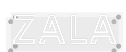 Custom Neon: ZALA