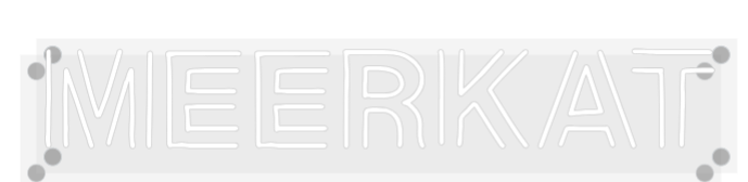 Custom Neon: Meerkat