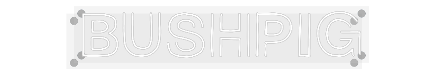 Custom Neon: Bushpig
