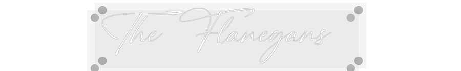 Custom Neon: The Flanegans