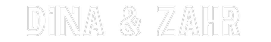 Custom Neon: Dina & Zahr