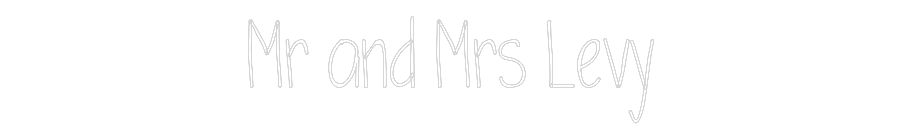 Custom Neon: Mr and Mrs Levy