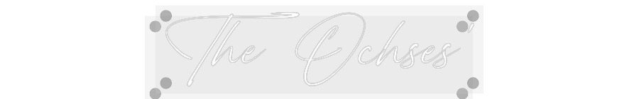 Custom Neon: The Ochses’