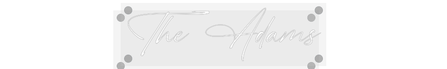 Custom Neon: The Adams