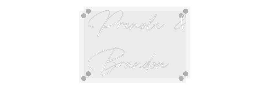 Custom Neon: Prenola &
Br...