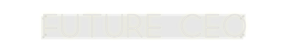 Custom Neon: Future CEO