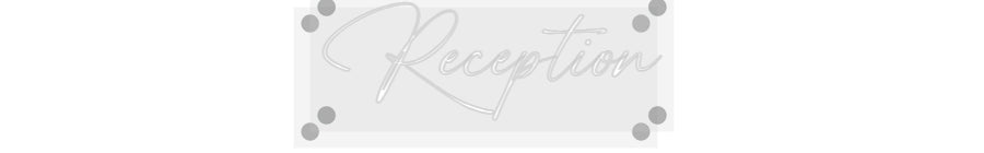 Custom Neon: Reception