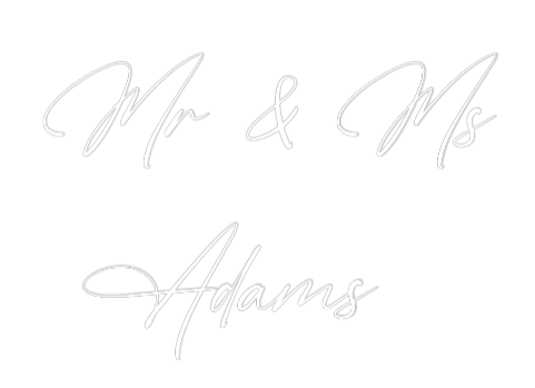 Custom Neon: Mr & Ms
 Adams