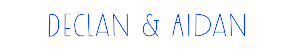 Custom Neon: Declan & Aidan