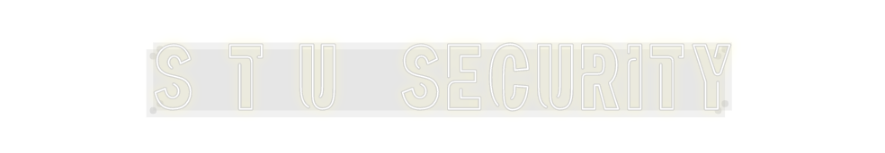 Custom Neon: S T U  SECURITY